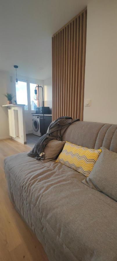 Grand Studio Proche De Paris Saint-Maur-des-Fossés Zewnętrze zdjęcie